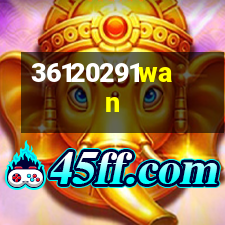 91wan