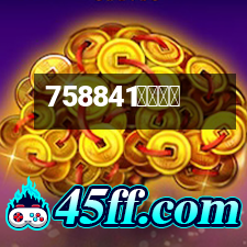 金貓銀貓