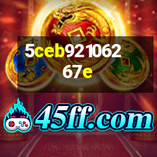 艾力斯特iRest