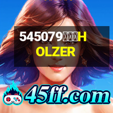 霍爾茨HOLZER